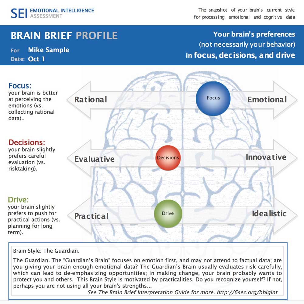 Brain Brief Profile